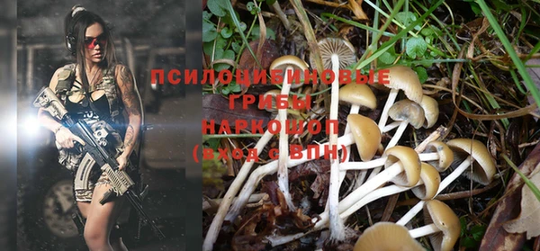 Альфа ПВП Бородино